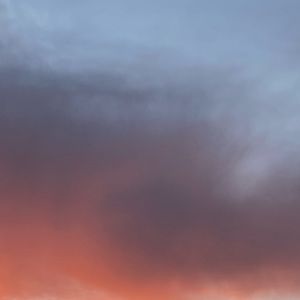 Meet your Posher, Evie